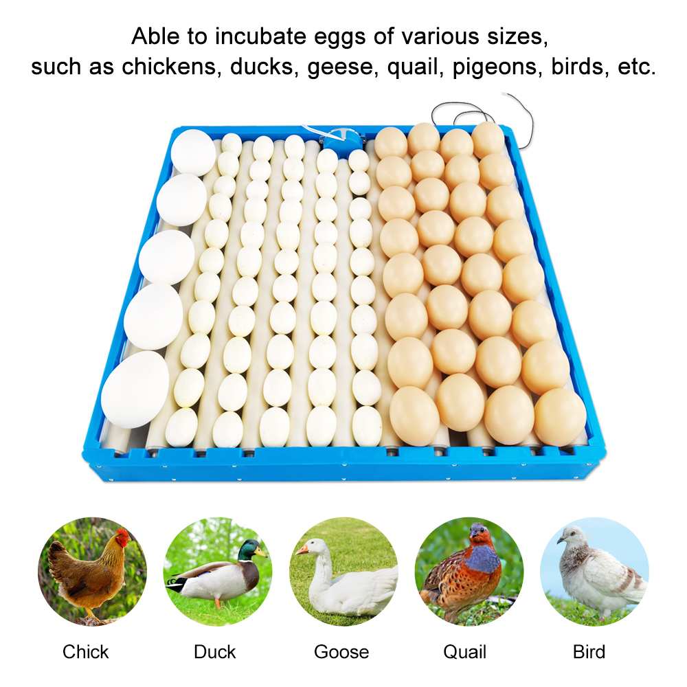 Hunting Quail - Automatic 360 Degree Rotary Egg Turner