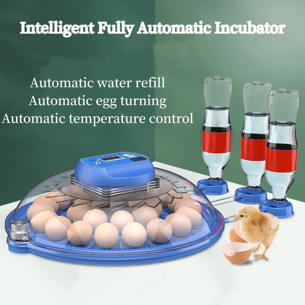 Hunting Quail - 8 Egg Incubator Fully Automatic Turning