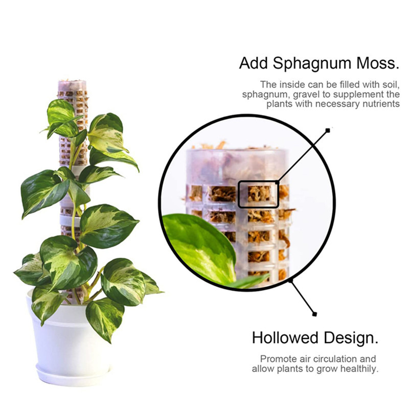 Tree Stand Ladder - Plant Climbing Column Sphagnum Moss Pole