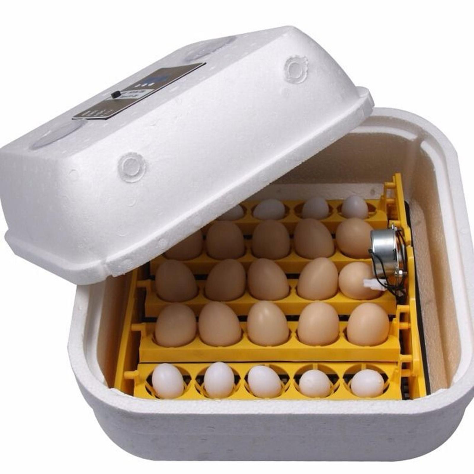Egg Incubator, 25 Eggs Fully A - Hunting Quail incelemesi ve fiyatı