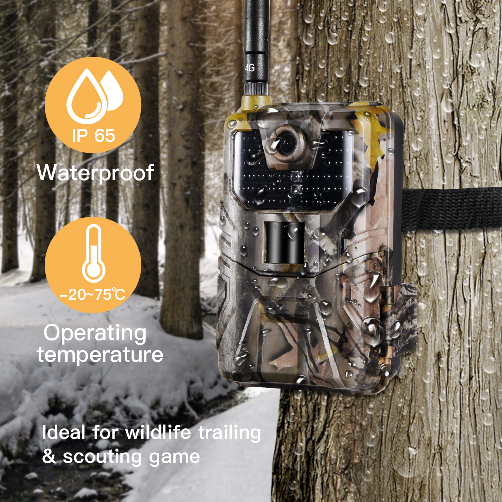 Wildlife Hunting Camera 20MP H - Outdoor Hunting Video Camera incelemesi ve fiyatı