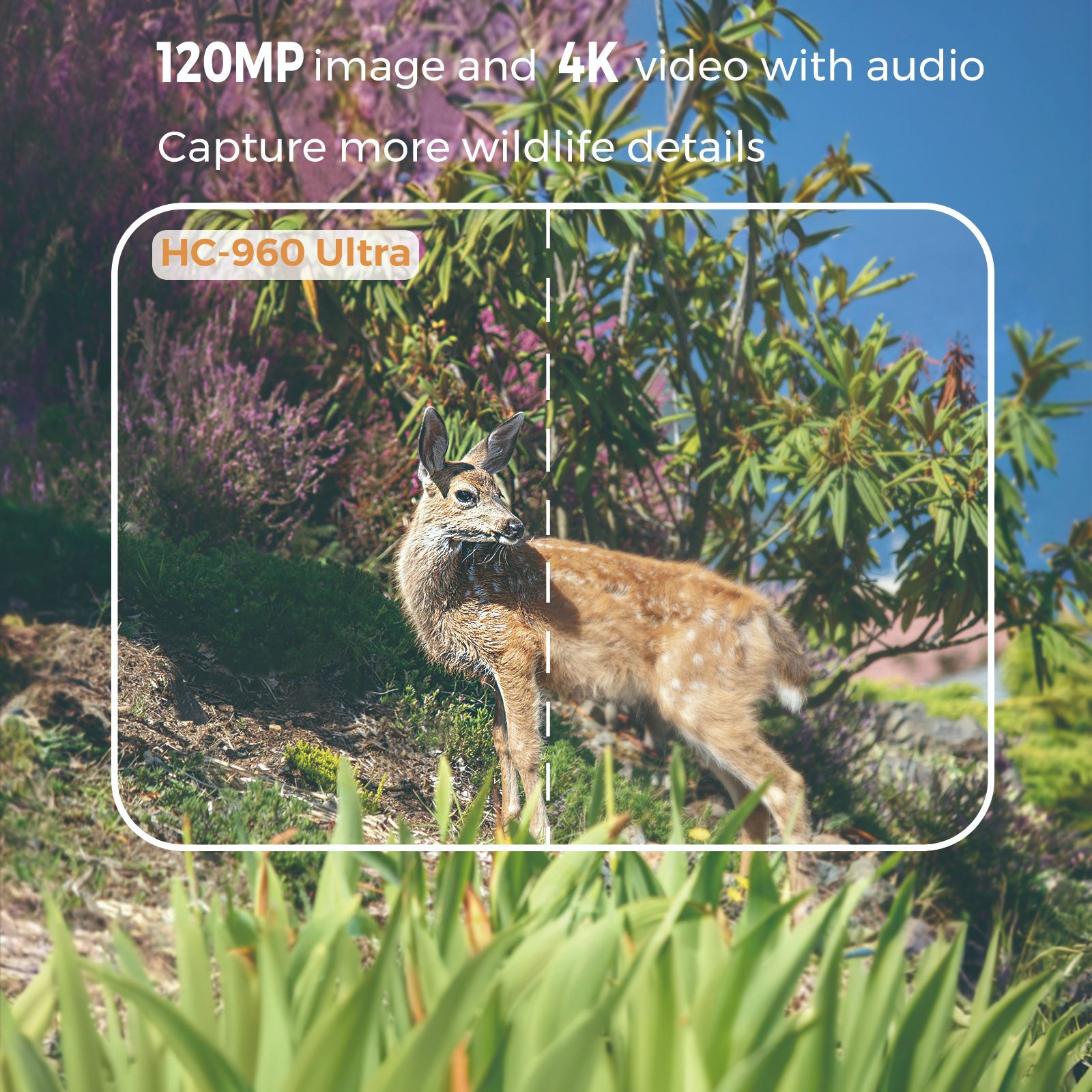 Outdoor 4K Video 120MP Photo 4 - Outdoor Hunting Video Camera incelemesi ve fiyatı