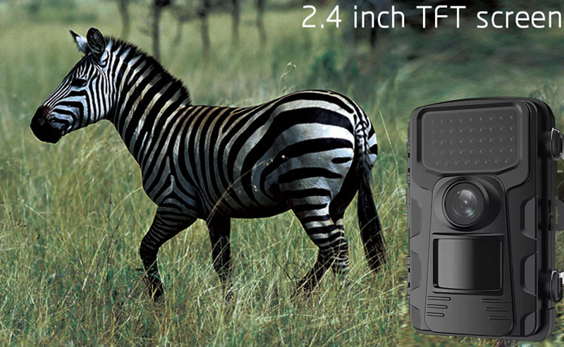 Outdoor Sports Hunting Cameras - Outdoor Hunting Video Camera incelemesi ve fiyatı