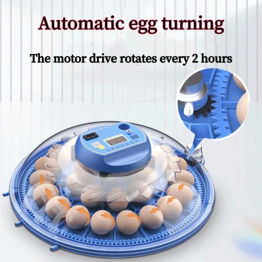 8 Egg Incubator Fully Automati - Hunting Quail incelemesi ve fiyatı