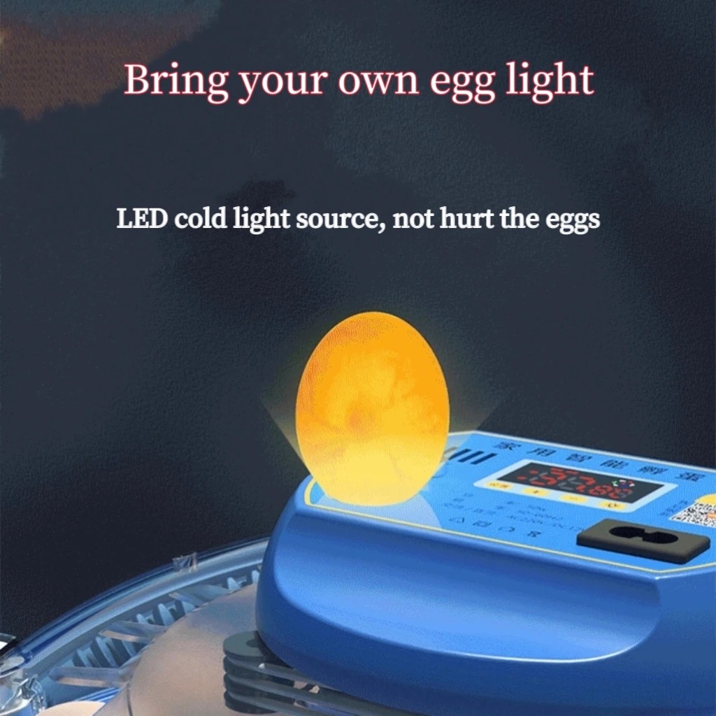 8 Egg Incubator Fully Automati - Hunting Quail incelemesi ve fiyatı