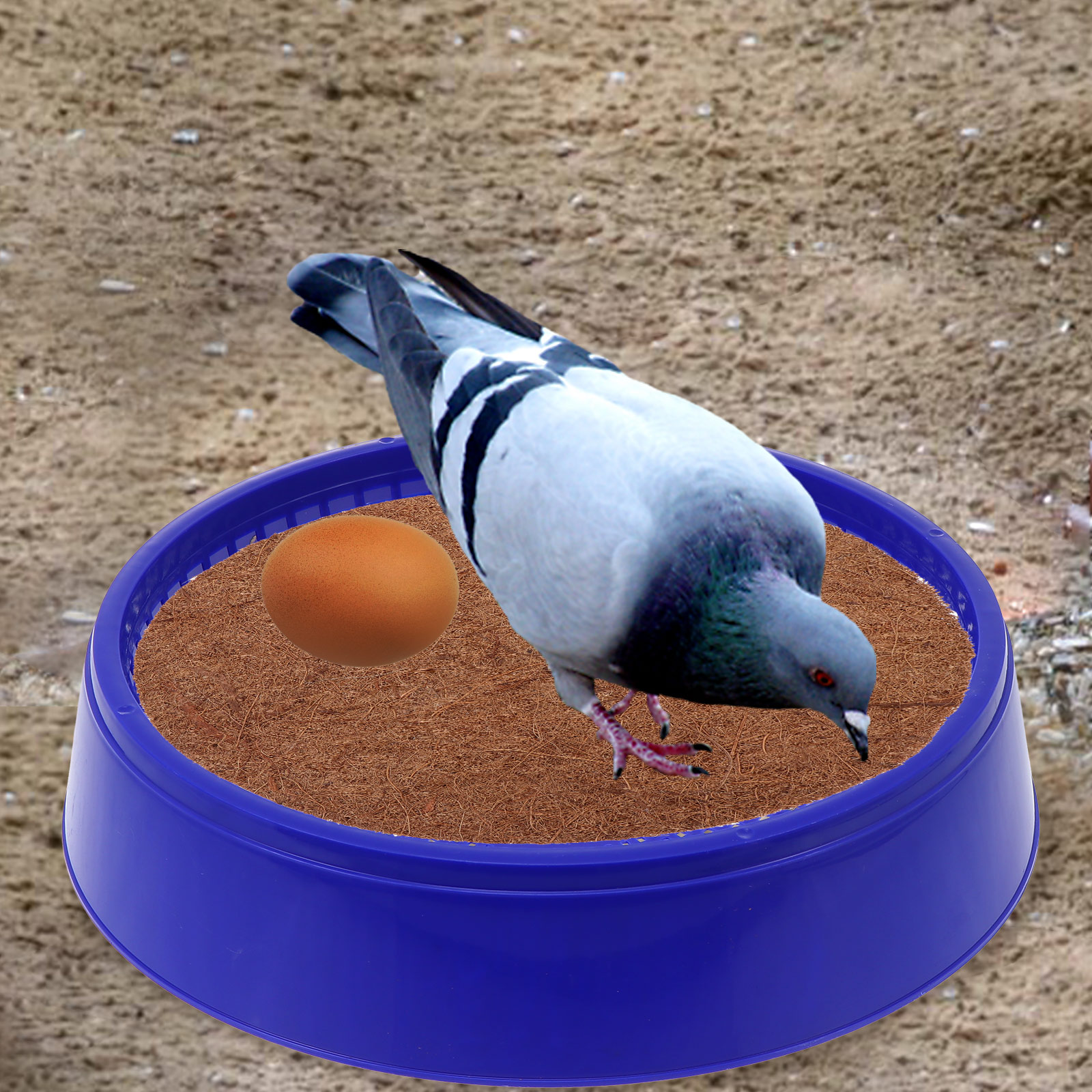 3Pcs Plastic Nest Bowl For Hat - Hunting Quail incelemesi ve fiyatı