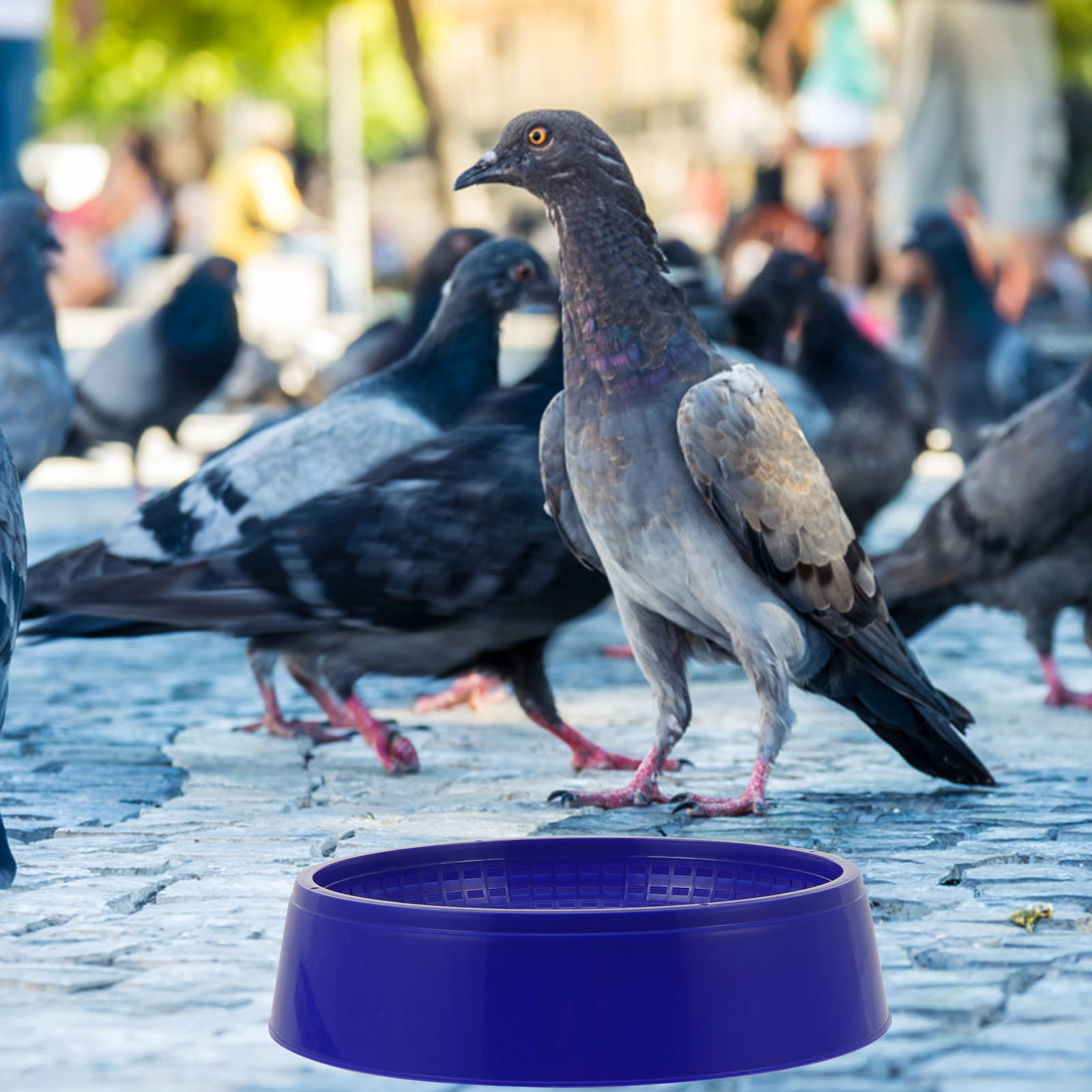 3Pcs Plastic Nest Bowl For Hat - Hunting Quail incelemesi ve fiyatı