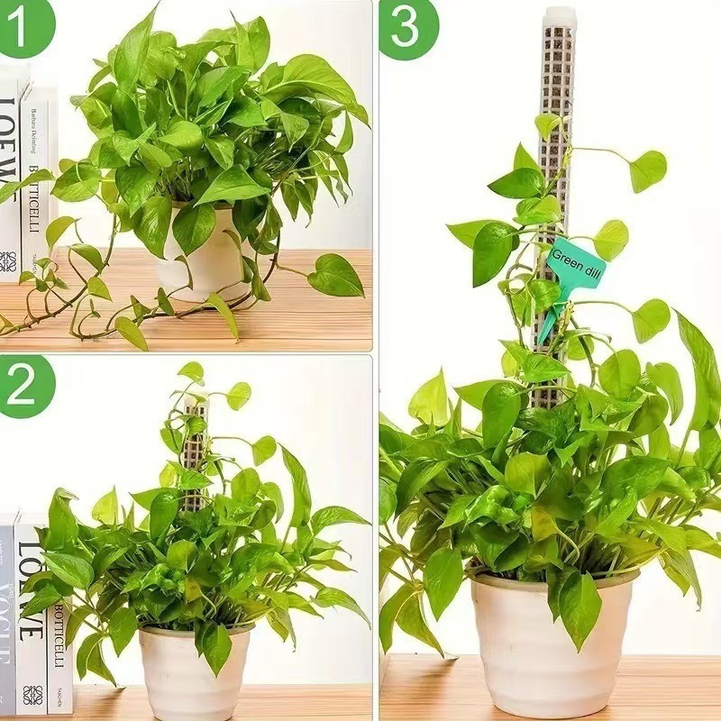 1/2/3pcs Self-watering Moss Po - Tree Stand Ladder incelemesi ve fiyatı