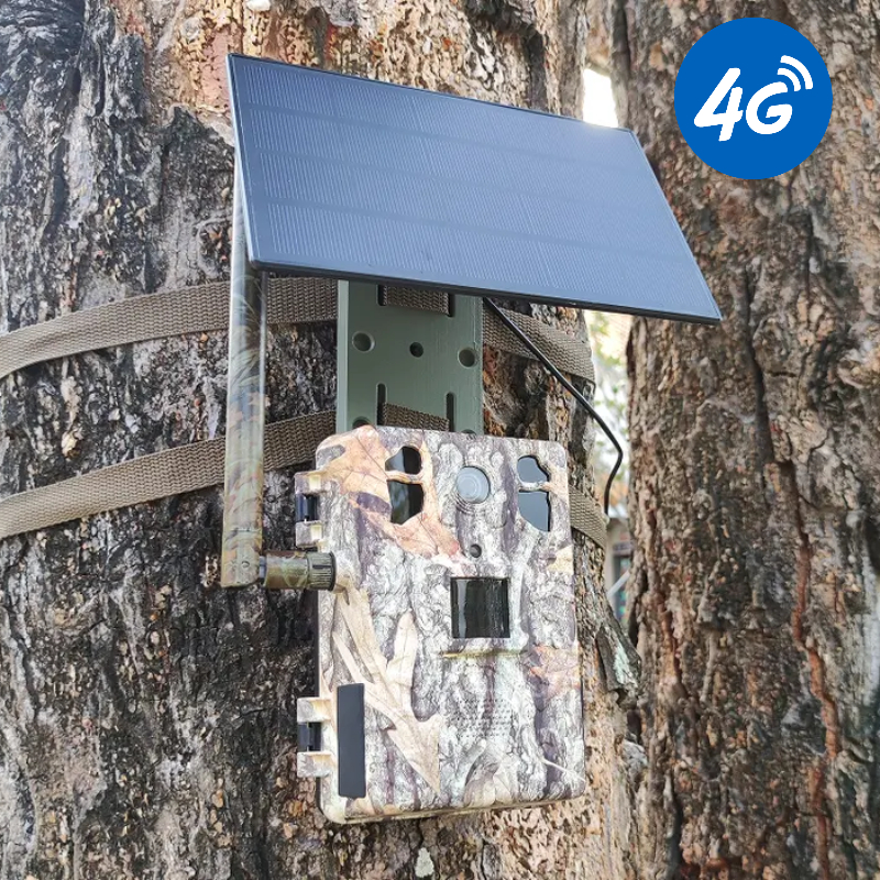4G LTE Wildlife Solar Hunting  - Outdoor Hunting Video Camera incelemesi ve fiyatı