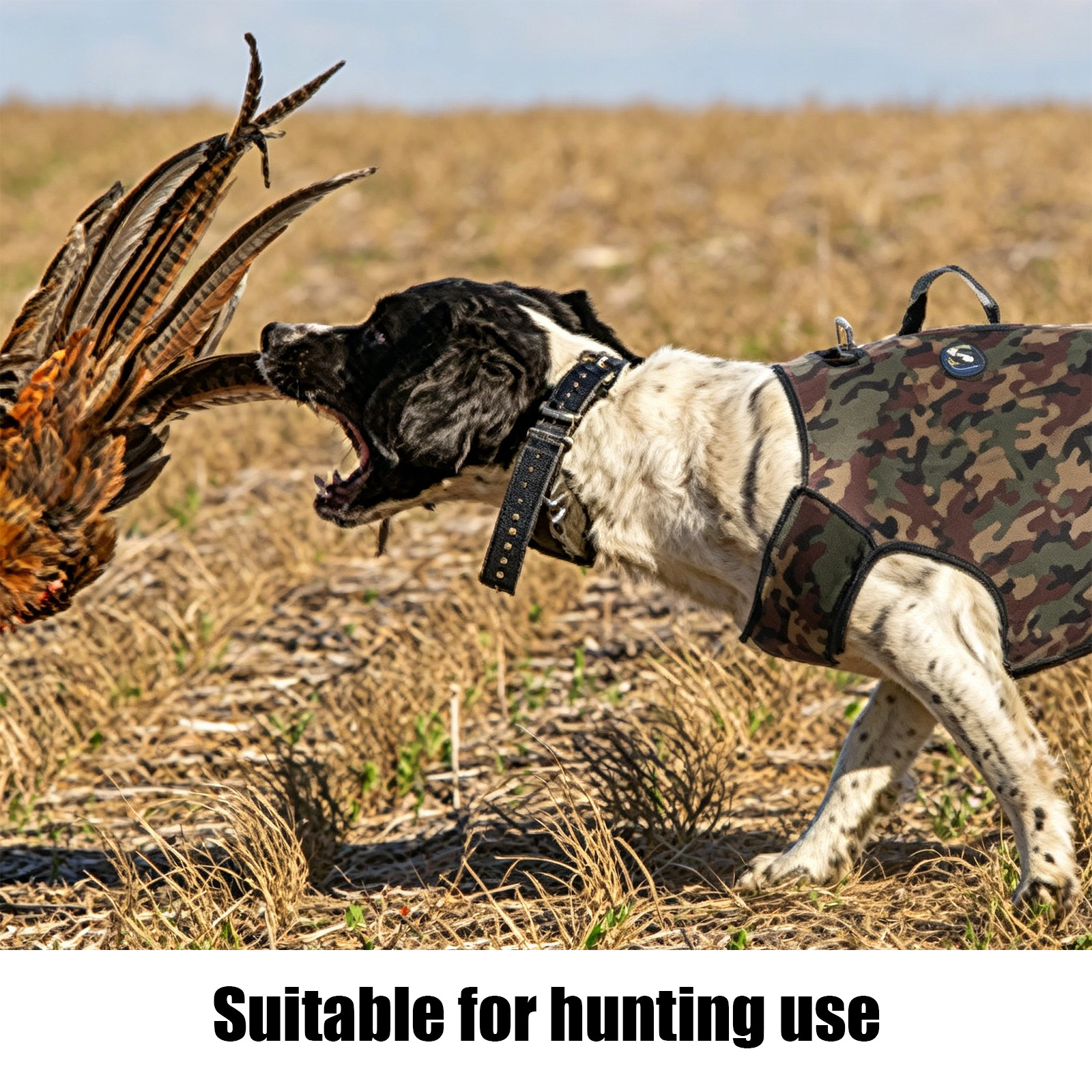 Camouflage Hunting Dog Clothes - Outdoor Hunting Dogs incelemesi ve fiyatı