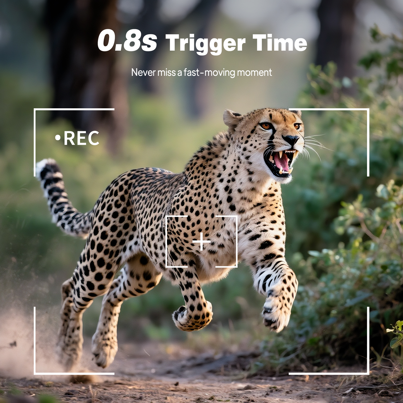 HD Infrared Hunting Camera 2.4 - Outdoor Hunting Video Camera incelemesi ve fiyatı