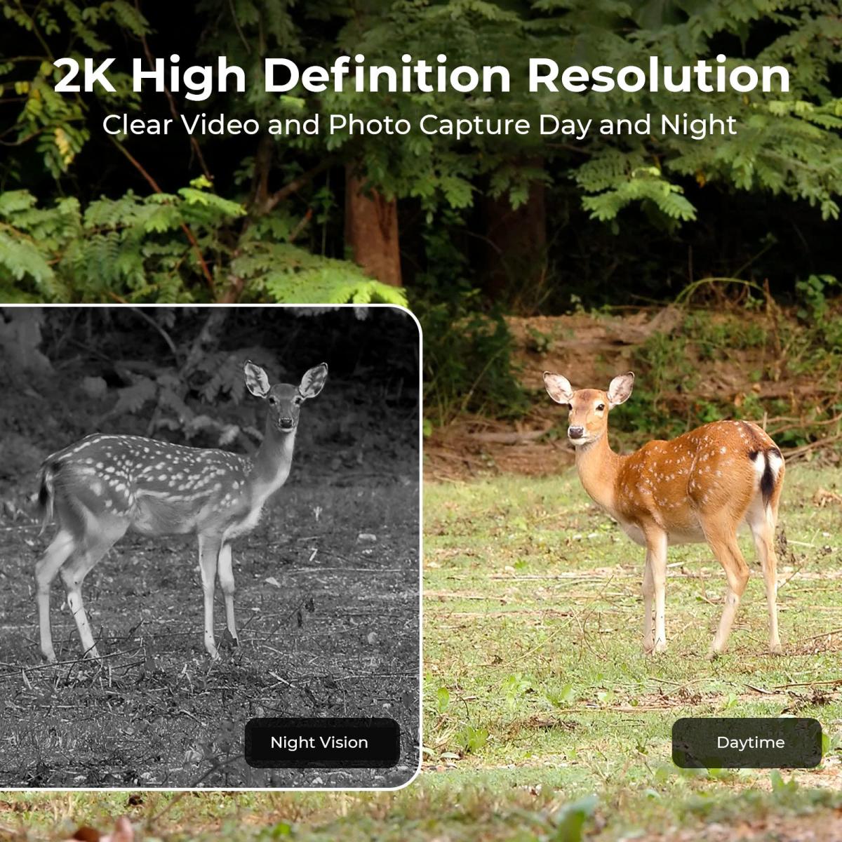 EU 4G Cellular 2K Battery Sola - Outdoor Hunting Video Camera incelemesi ve fiyatı
