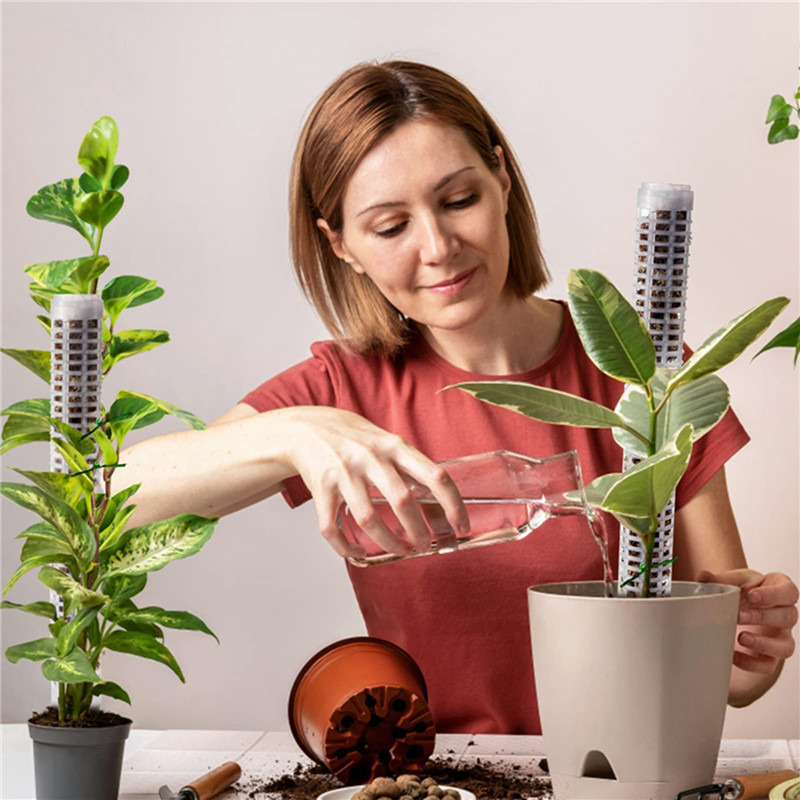 Plant Climbing Column Sphagnum - Tree Stand Ladder incelemesi ve fiyatı