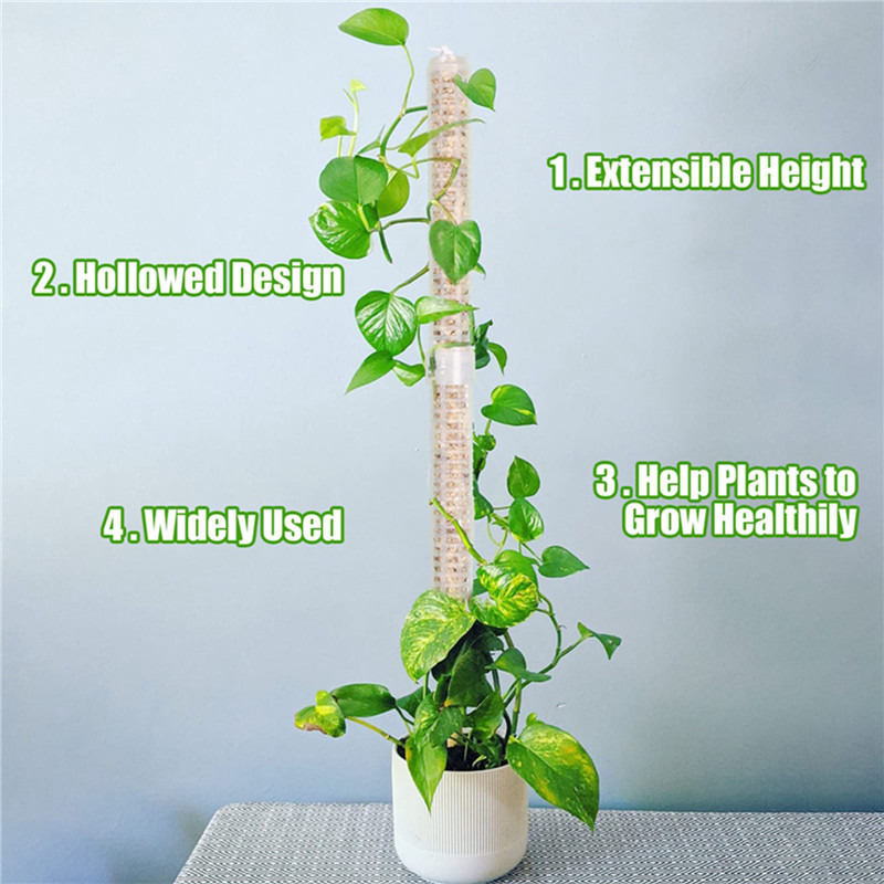 Plant Climbing Column Sphagnum - Tree Stand Ladder incelemesi ve fiyatı