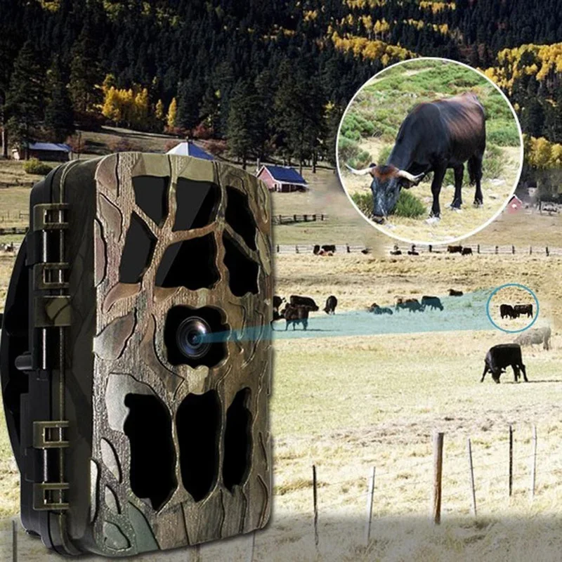 H982 IP66 Waterproof 4K Outdoo - Outdoor Hunting Video Camera incelemesi ve fiyatı