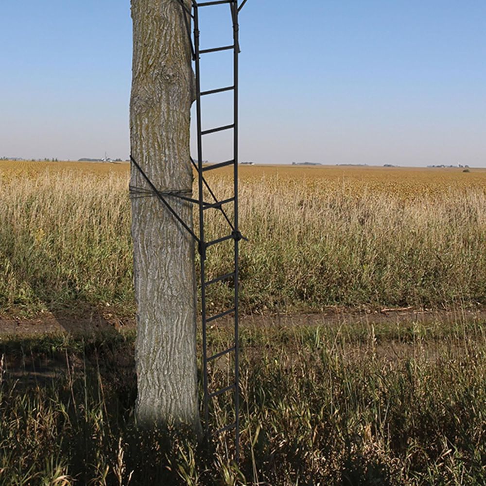Portable 2-Person Hunting Tree - Tree Stand Ladder incelemesi ve fiyatı
