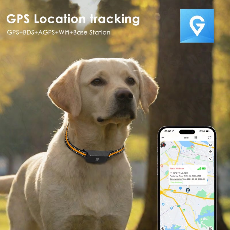 Dog GPS Tracker Outdoor Campin - Outdoor Hunting Dogs incelemesi ve fiyatı
