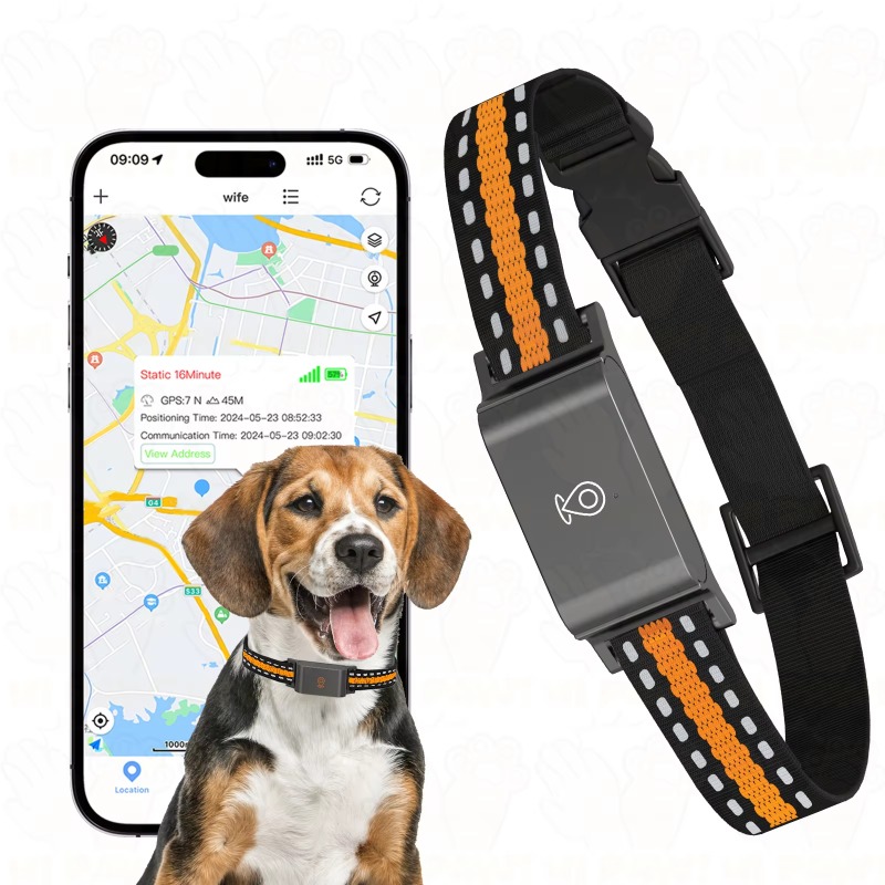 Dog GPS Tracker Outdoor Campin - Outdoor Hunting Dogs incelemesi ve fiyatı
